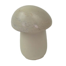 Load image into Gallery viewer, Soapstone Mushroom Box in Natural Stone
