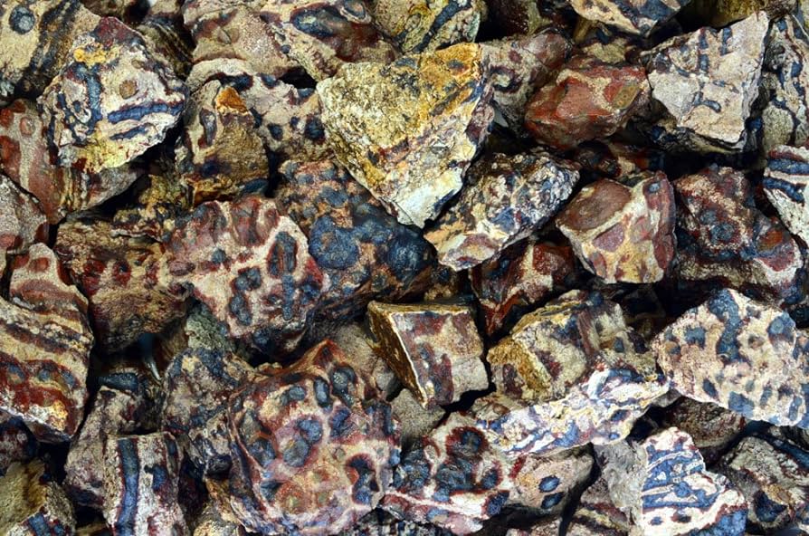 Leopardskin Jasper Stone