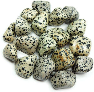 Dalmatian Jasper Stone