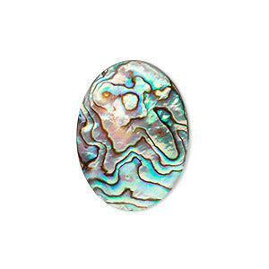 Abalone Shell