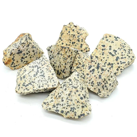 Dalmatian Jasper Stone