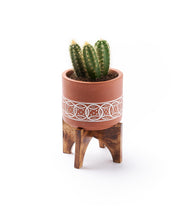 Load image into Gallery viewer, Terracotta Planter with Stand
